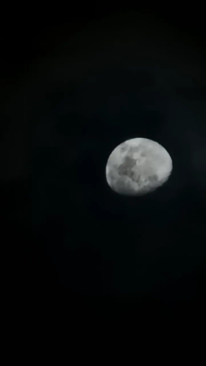 3ePtLBtrpwaheVRL_1001173768.webp