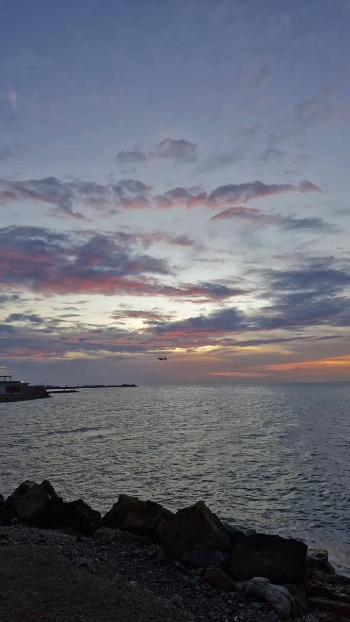 j19hJVjvexadwCtO_1001173729.webp