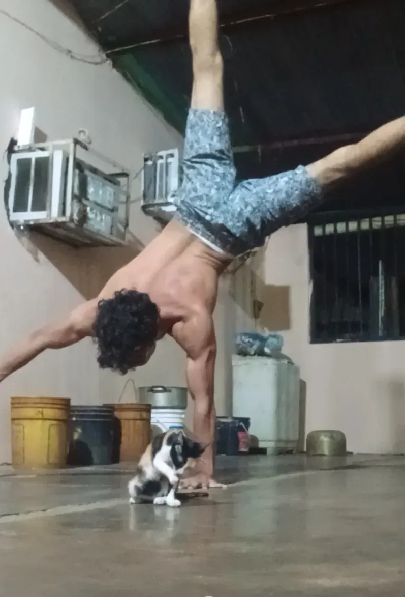 2BT62nh15Qn96x5q_1000324072.webp