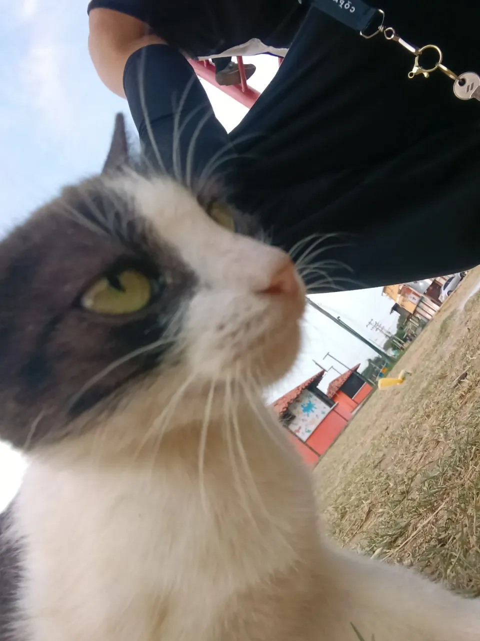 UKtJc00uWZBxeBwz_1000363248.webp