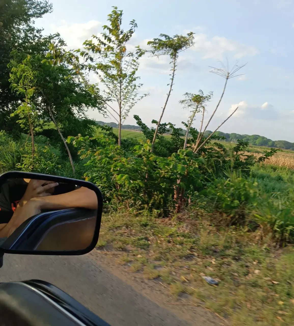 aThnHK3HyAYHKl3G_1000408979.webp