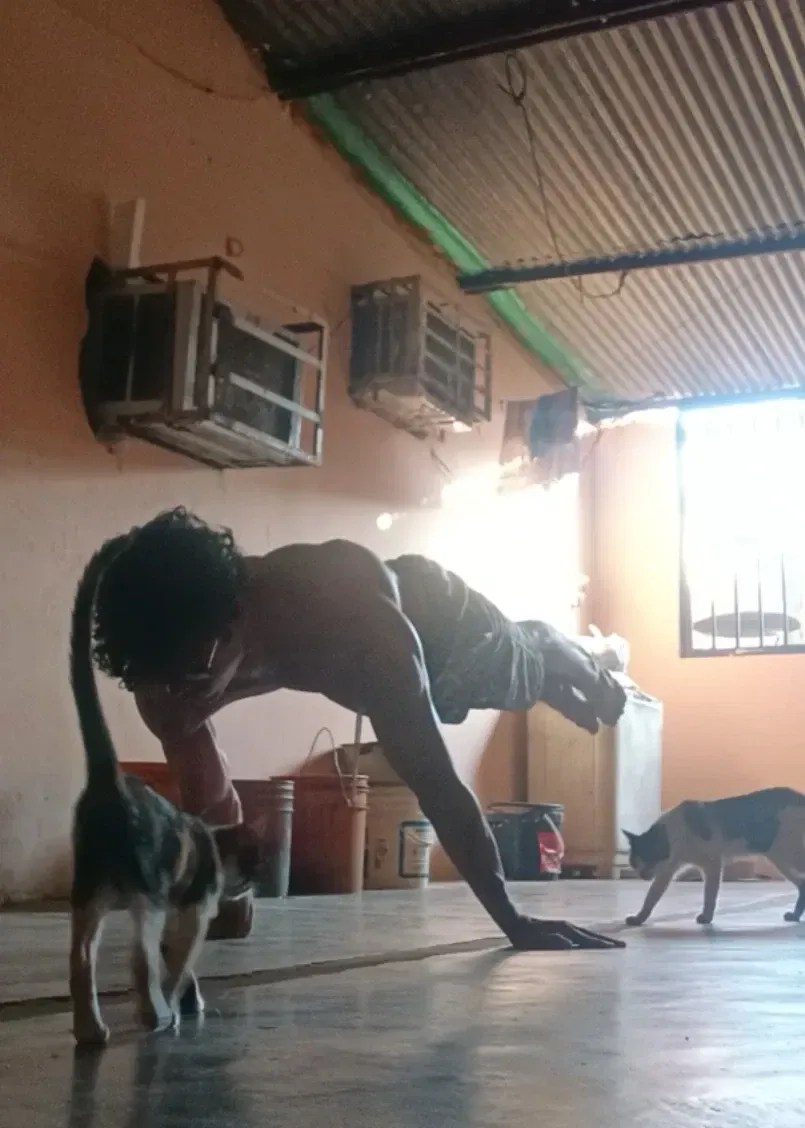 n1T6z4erzuNNxcxc_1000324056.webp