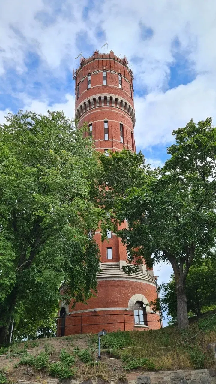 nznUNlWO7iqOWuIV_1000050069.webp