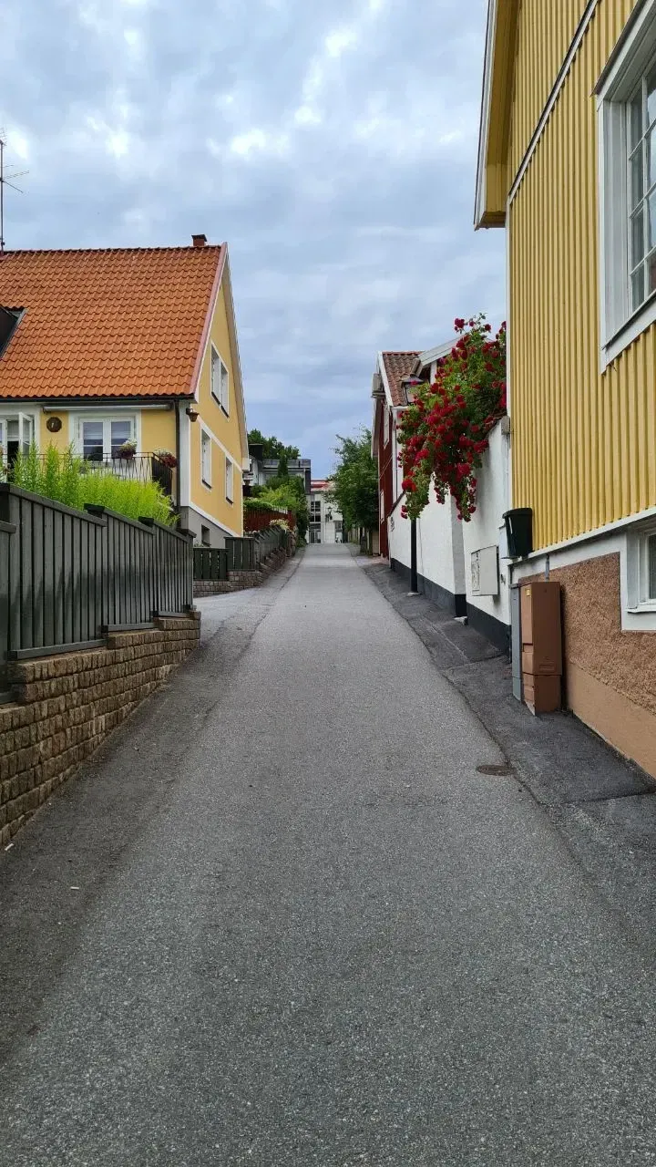 ySJenay8AGdlqJnz_1000047445.webp
