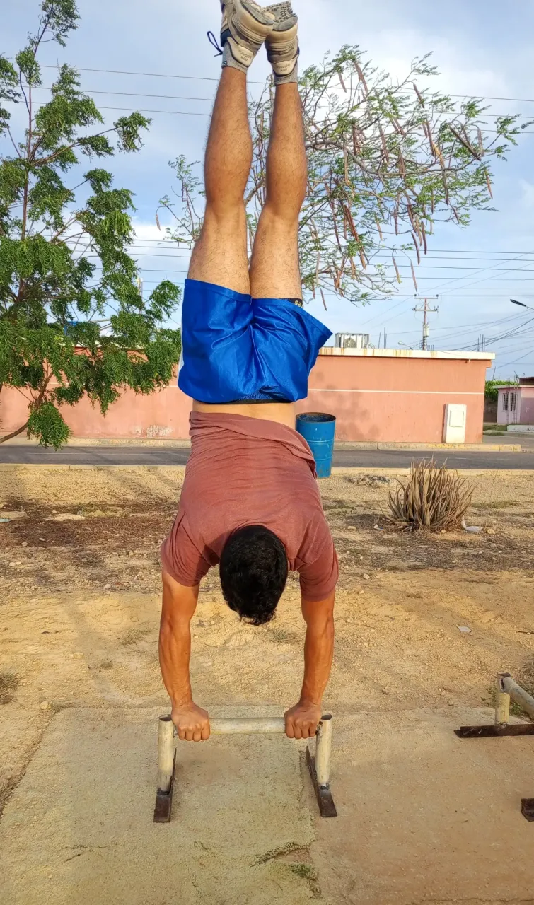 qSzsMF6jkE6qRUzA_1000164599.webp