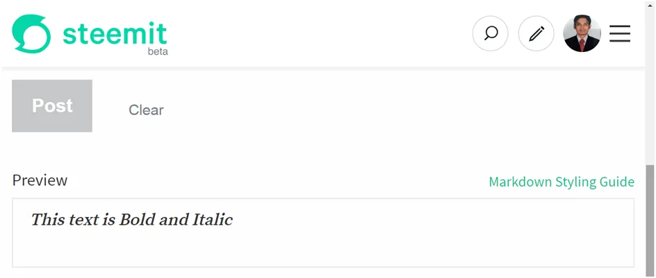 bold italic review .png