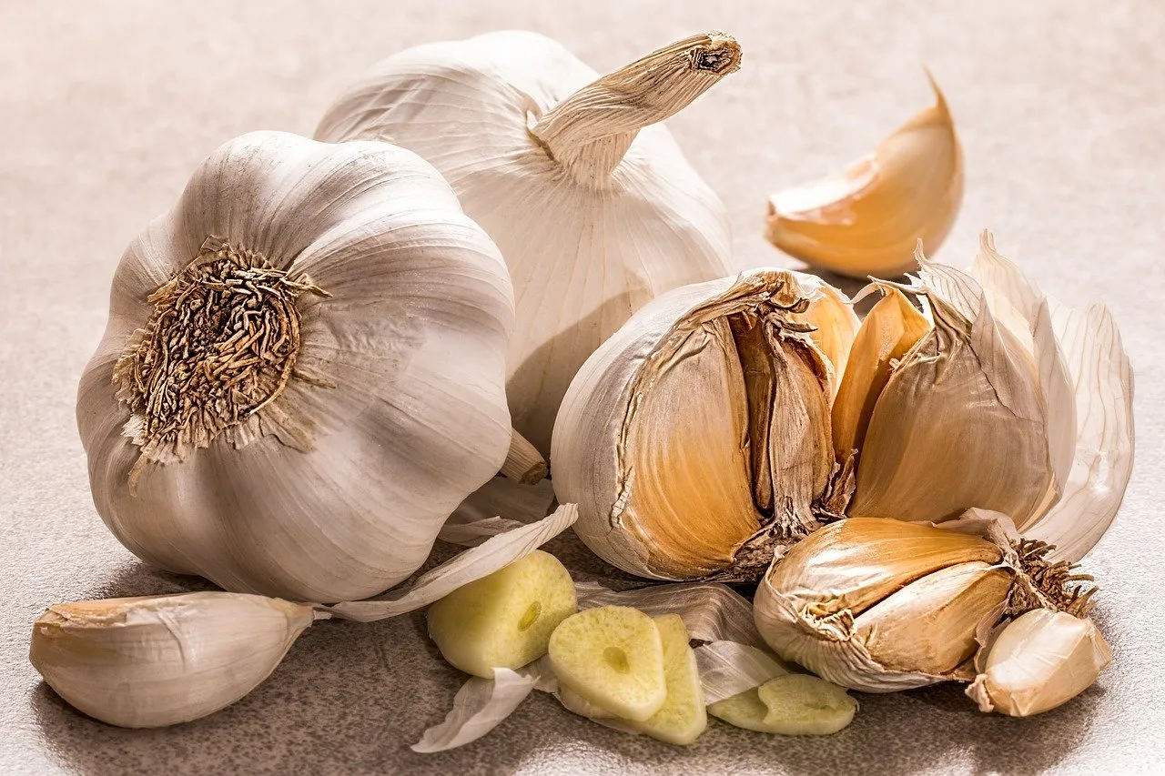 garlic-3419544_1280 (1).jpg