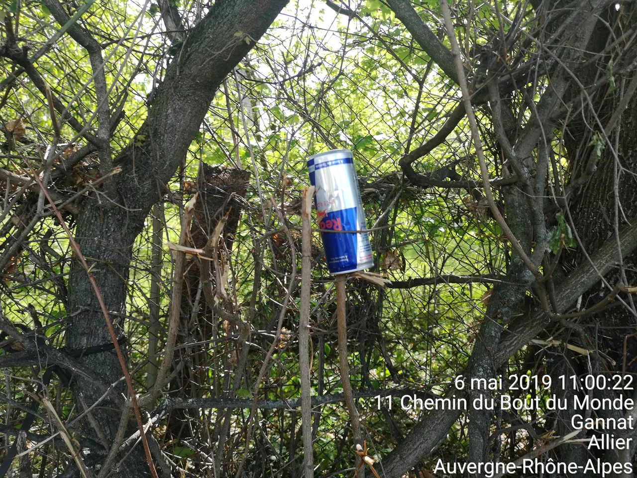 TimePhoto_20190506_110022.jpg
