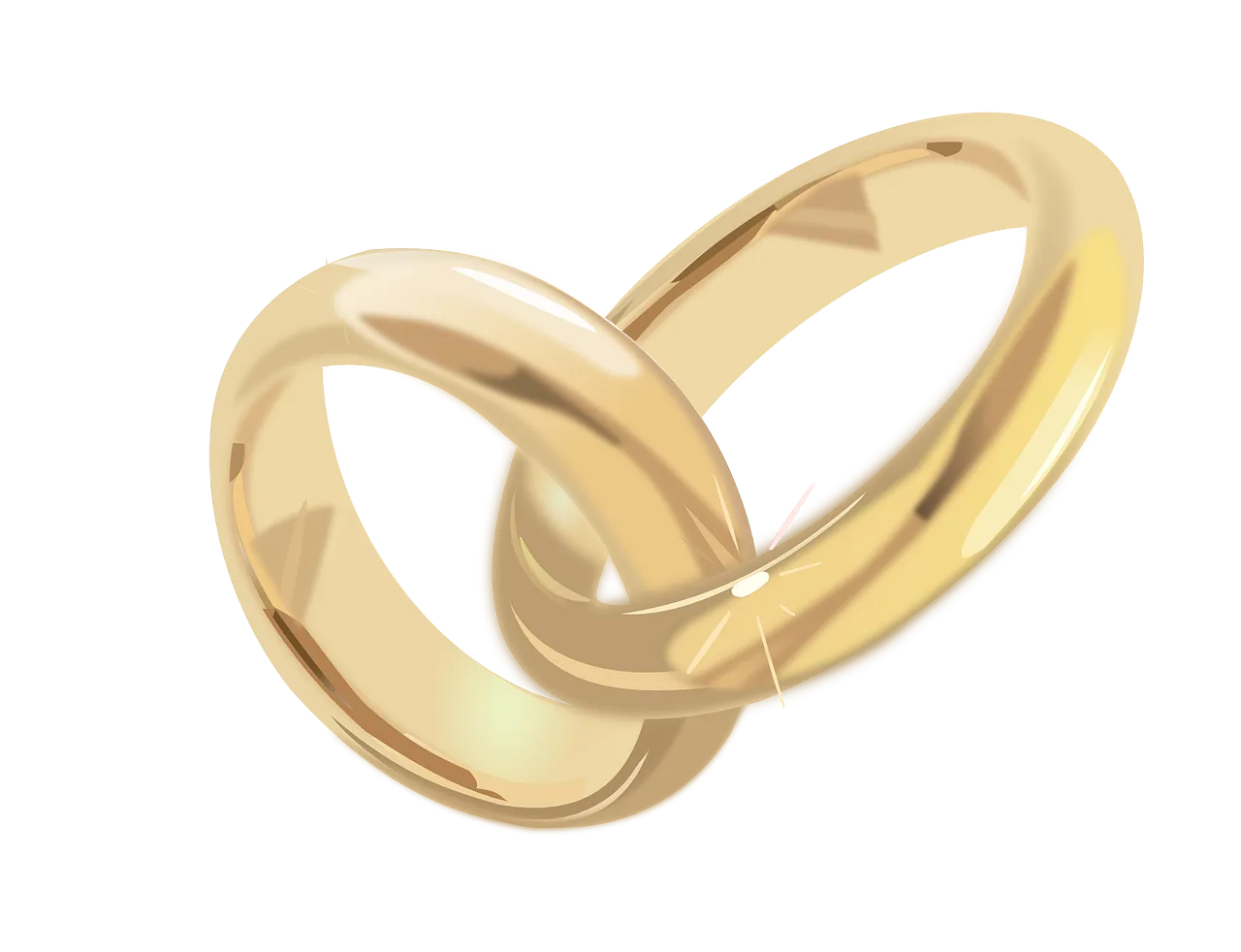 wedding-rings-152336_1280.png