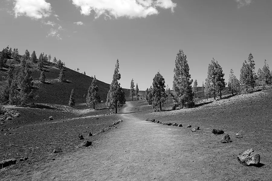 Mount_Teide_pre_002a_s_BW.jpg