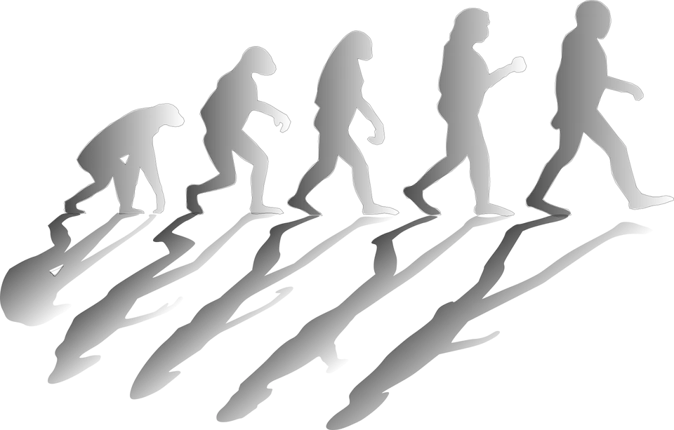 evolution-1295256_960_720.png