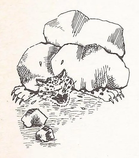 Tio conejo Rivero 4.jpg