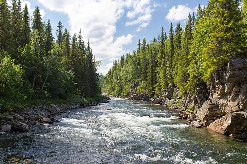 river-1209025_1920 copy.jpg