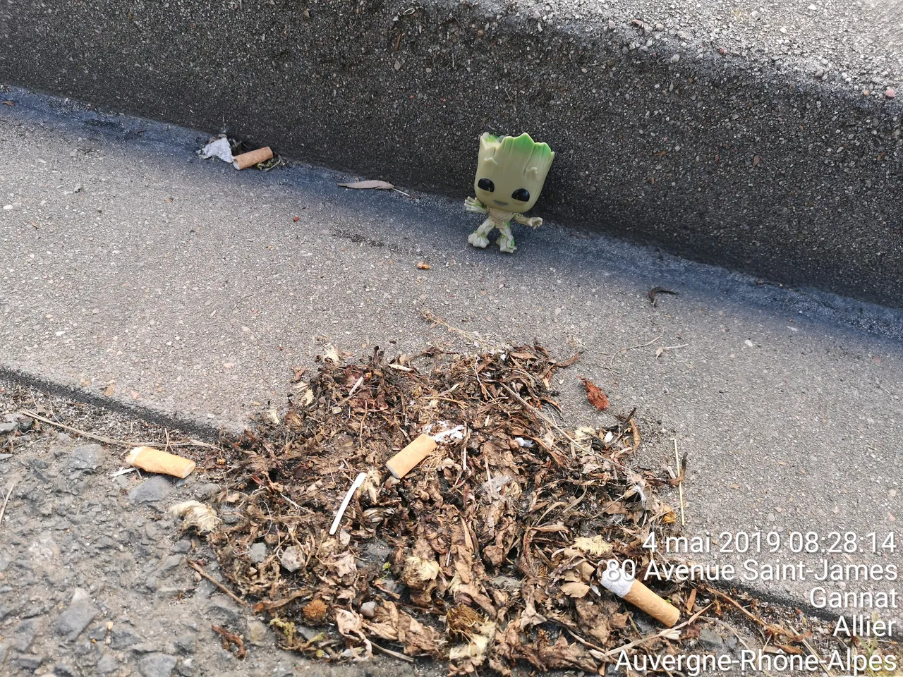 TimePhoto_20190504_082814.jpg