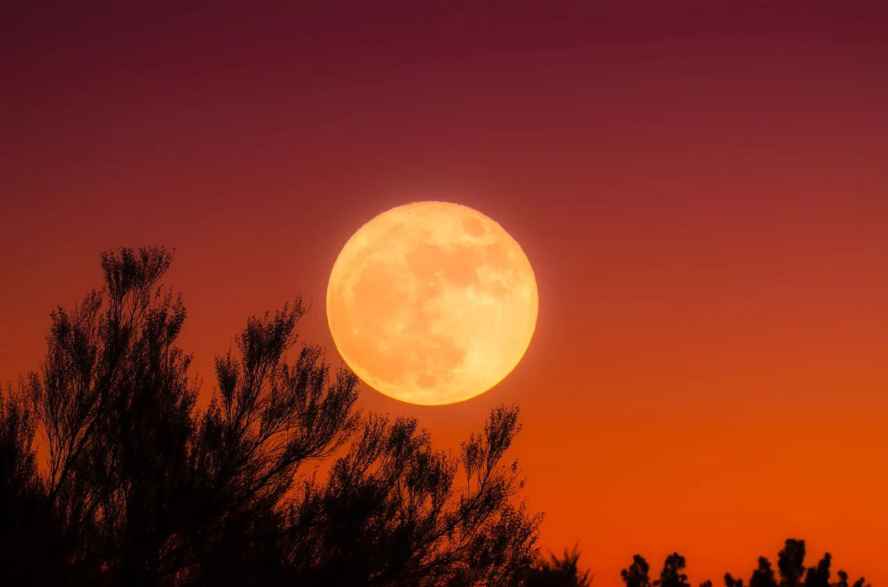 harvest-moon-1828012_1920.jpg