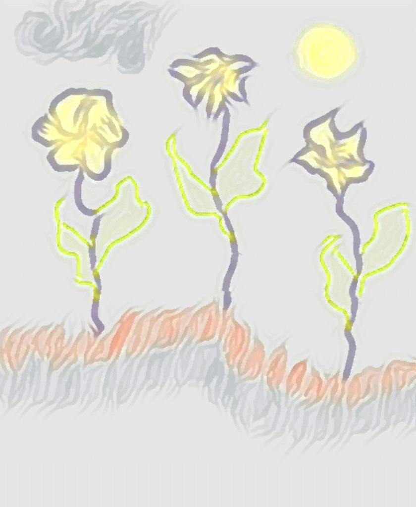 20180813_154122-ANIMATION.gif