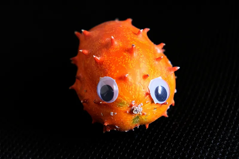 Alien-DSCF3350-fs-steemit.JPG