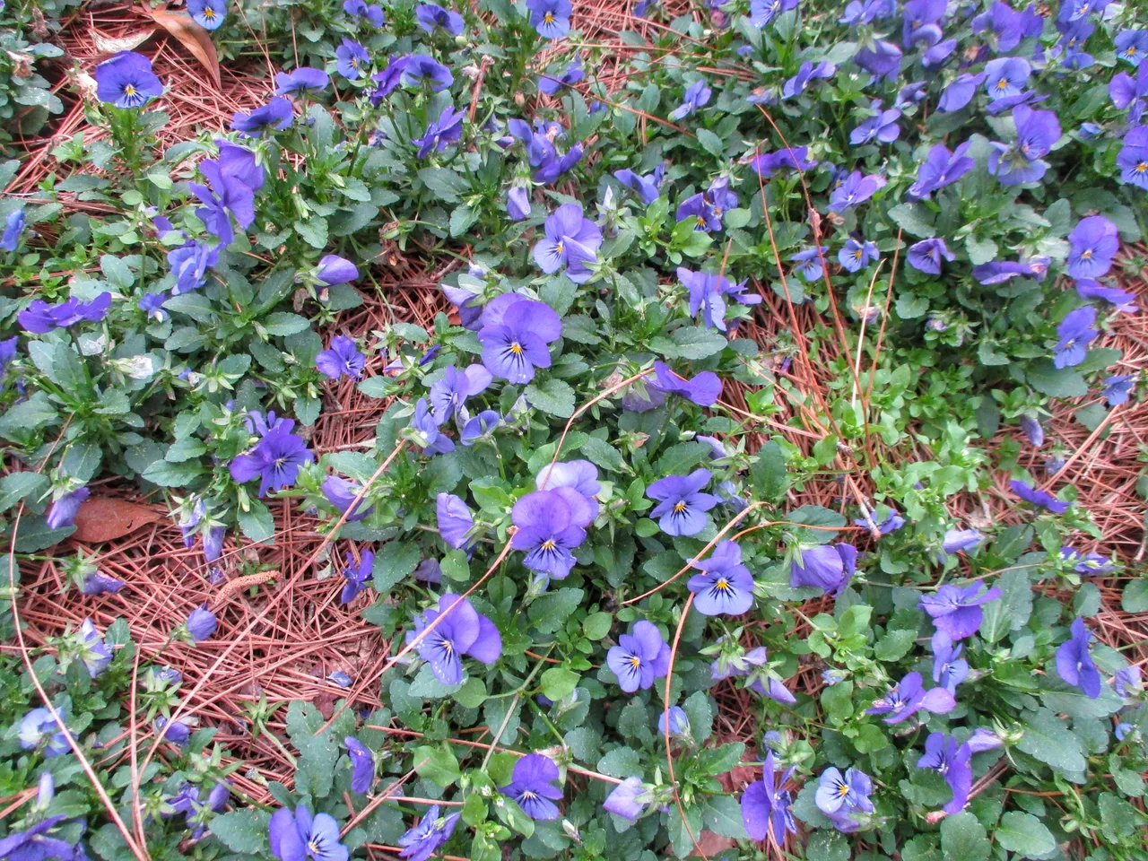 2019-03-13 01.31.03-01.jpeg