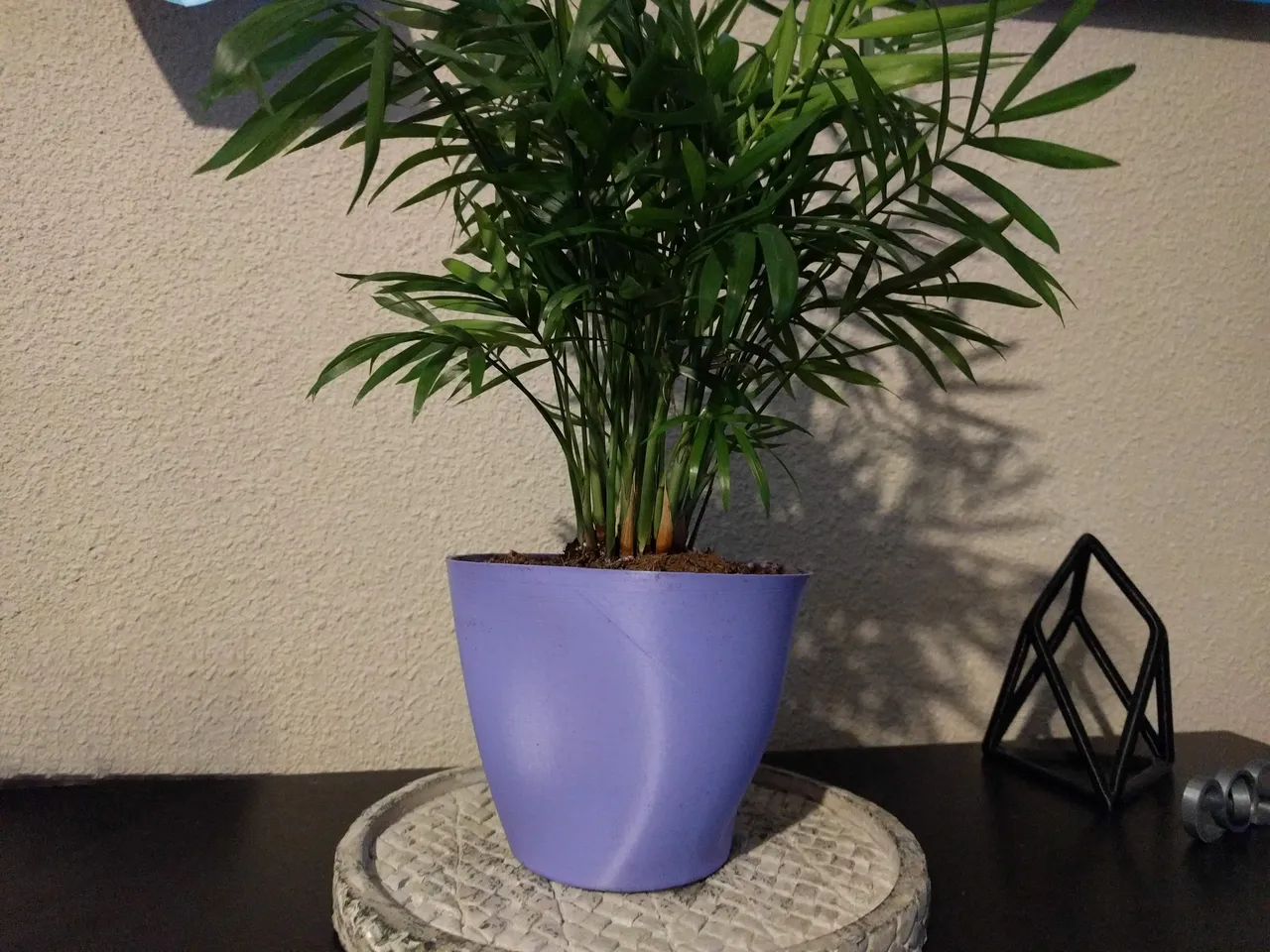 PlantPot by tarekadam.jpg