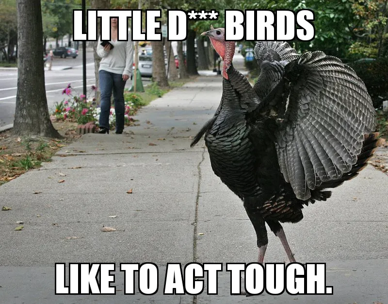turkey_obscenity_obscured.jpg