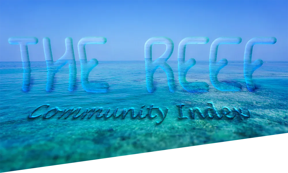 The Reef Temporary Cover