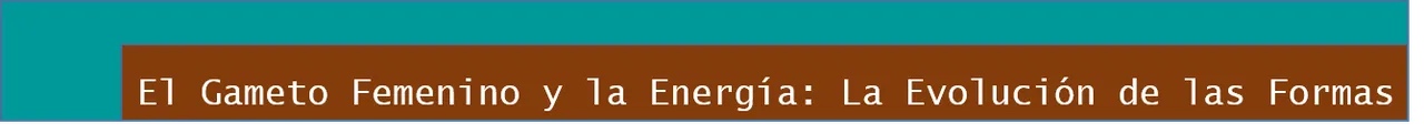 el gameto y energia.png