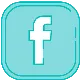 Facebook - Tesmoforia.png
