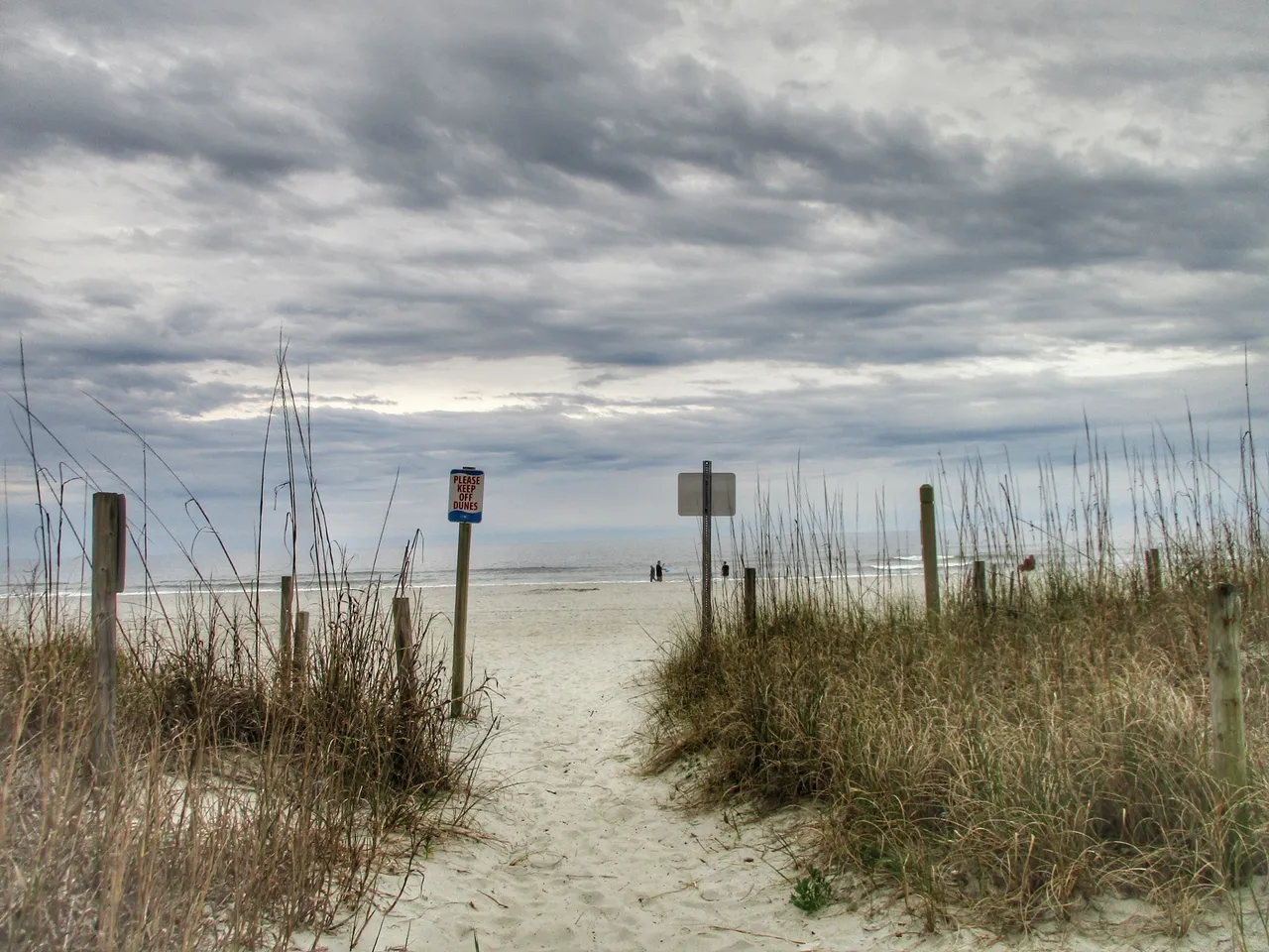 2019-03-11 00.32.39-01.jpeg