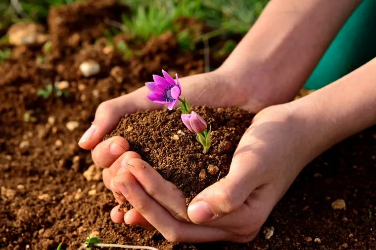 plantar-flortierra_jardin.jpg