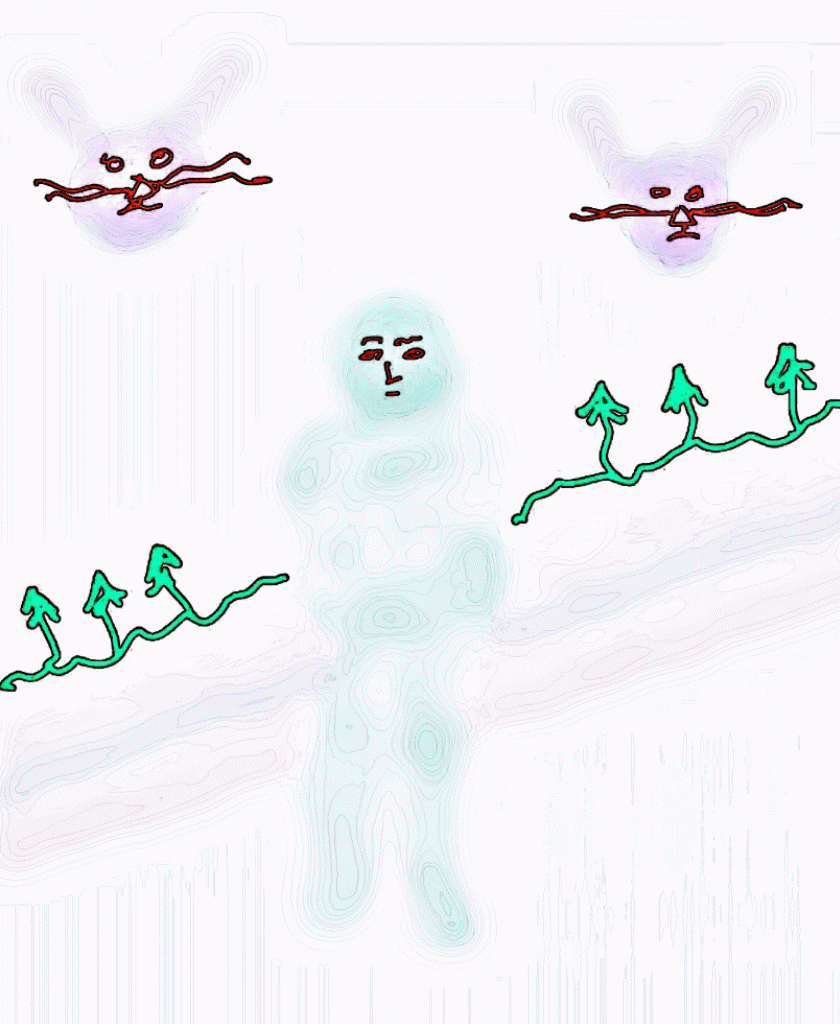 20180822_170636-ANIMATION.gif