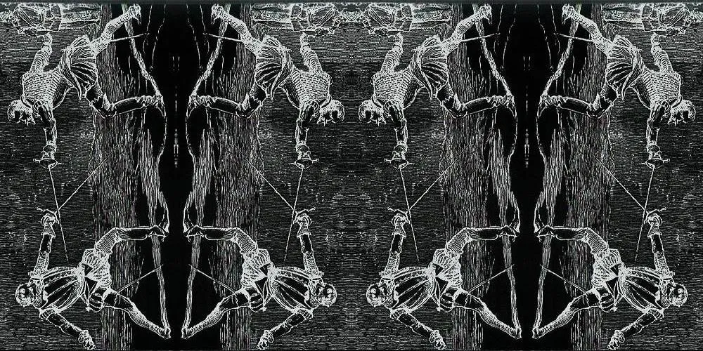 duelnegativecrazymirrored.jpg