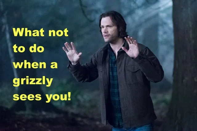 supernatural_woods_meeting.jpg