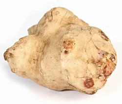 4_1_1_jerusalem_artichoke.jpg