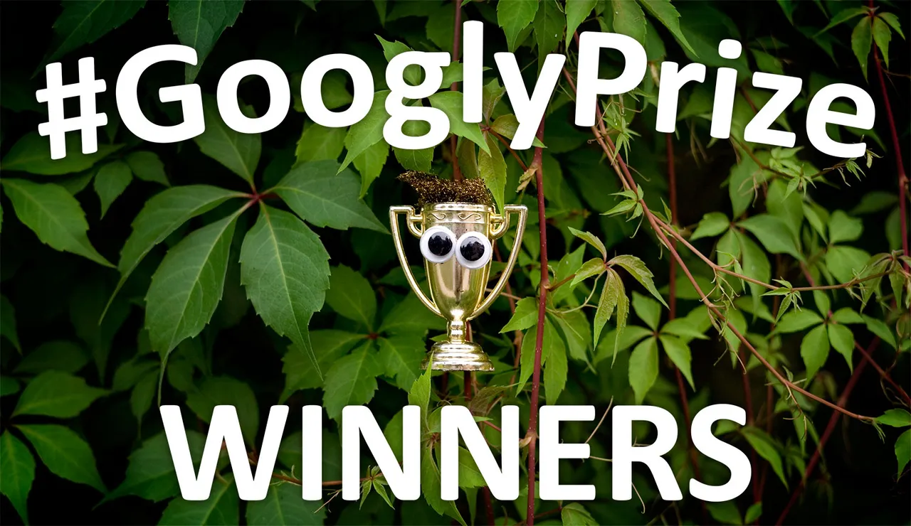 GooglyPrize GooglyEyes TitleImage Vol99