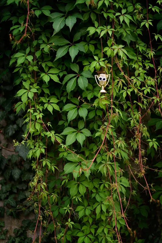 GooglyPrize GooglyEyes bonus image 99
