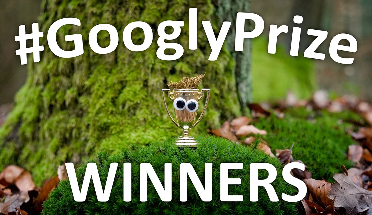 GooglyPrize GooglyEyes TitleImage Vol113