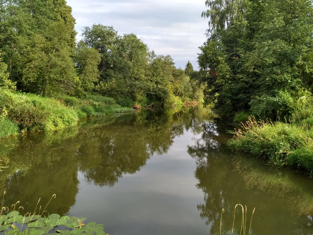 IMG_2018-07-26_175224_HDR.jpg