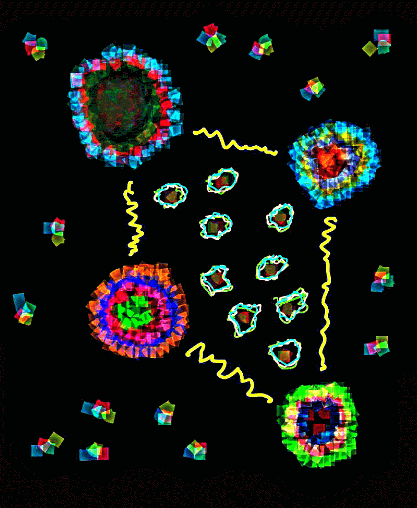20180825_121443-ANIMATION.gif