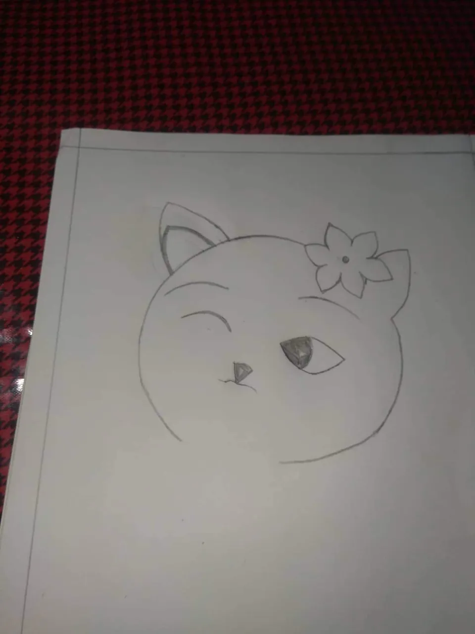 received_245715597728465.jpeg