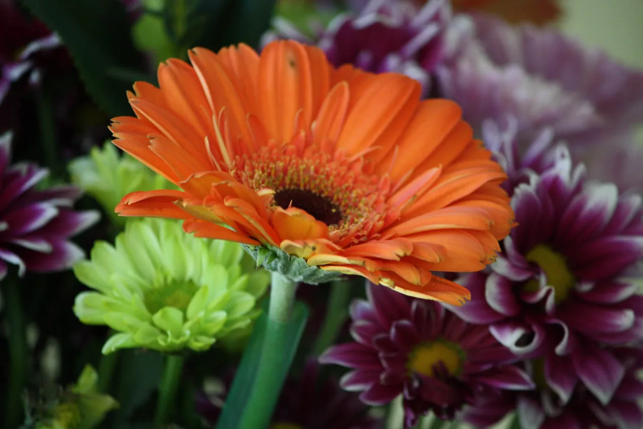 color-challenge-orange1-6.jpg