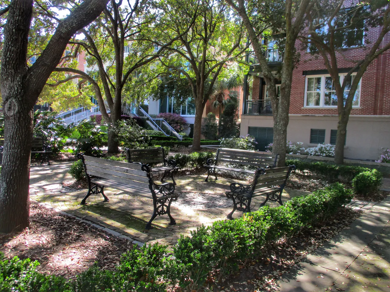 2019-03-11 22.24.10-01.jpeg