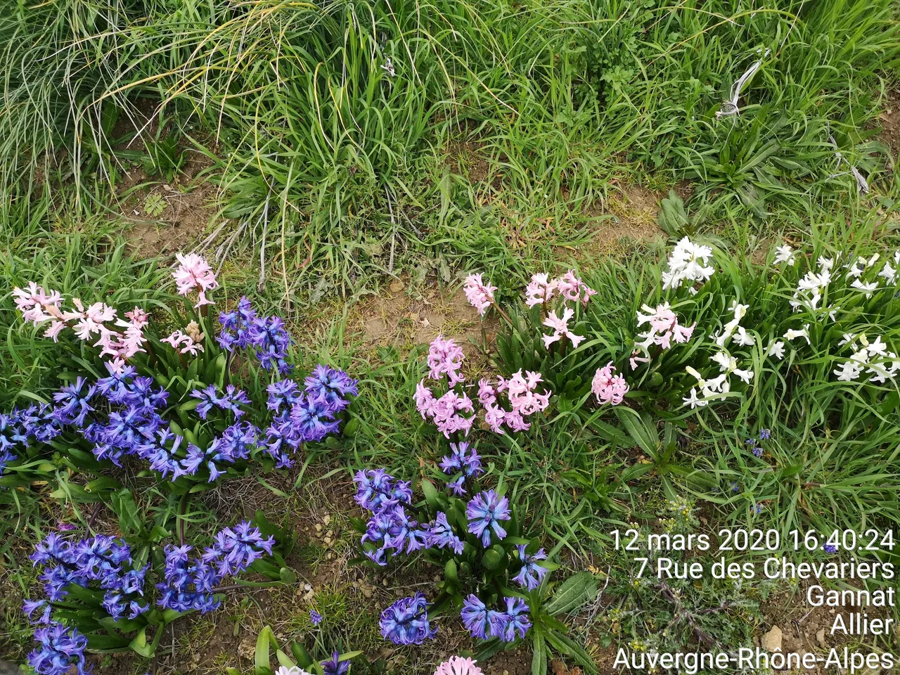 TimePhoto_20200312_164024.jpg