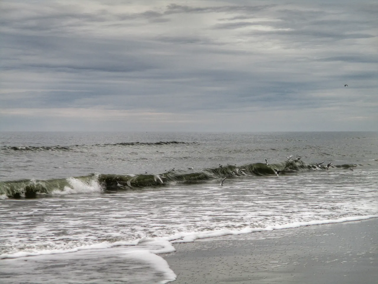 2019-03-11 00.25.28-01.jpeg