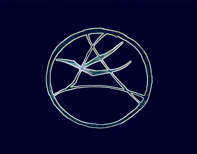The Key of H logo.jpg