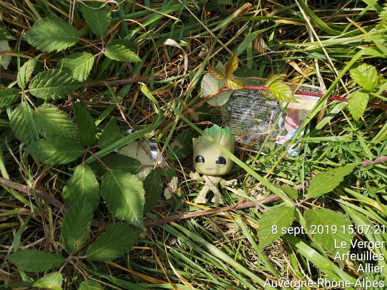 TimePhoto_20190908_150721.jpg