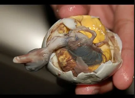 Balut The Philippines.png