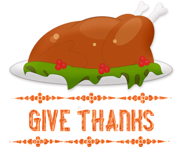 turkey-dinner-4567945_640.png