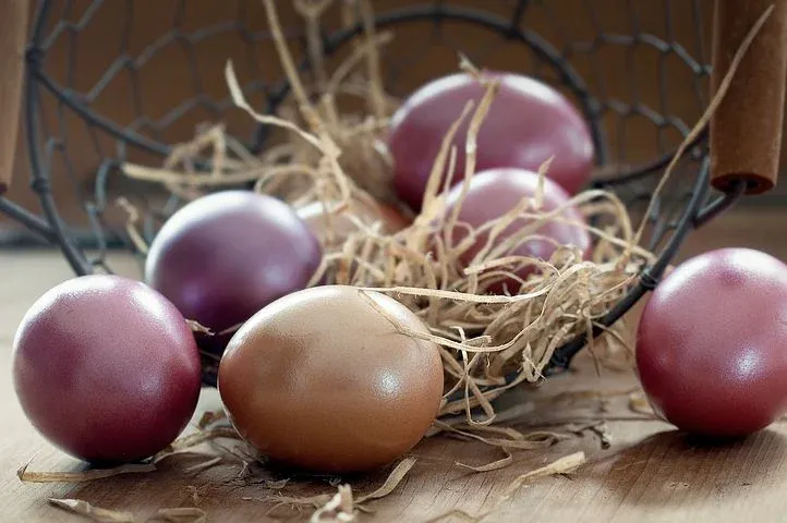 easter-eggs-1231120__480.webp