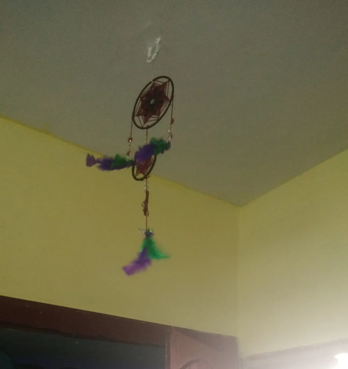 Sanjana dream catcher.jpg