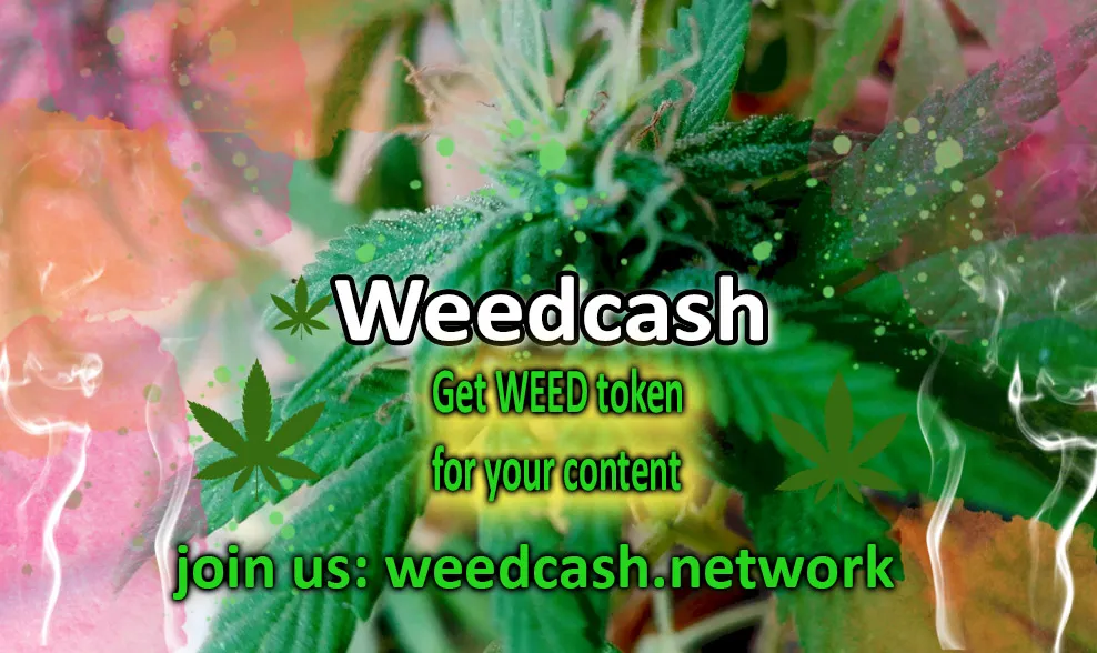 weedcash first2dewdewde.jpg